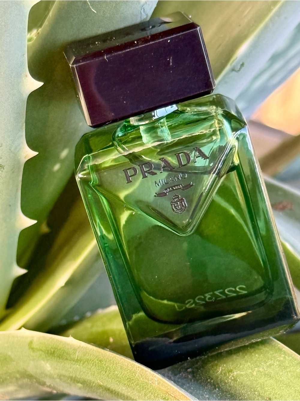 Prada Paradigme Men’s Mini